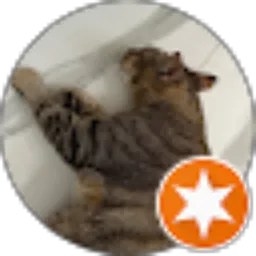 Review From Satria fy