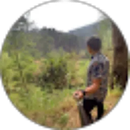 Review From Ananta Pangestu