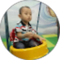 Review From Djoko Priambodo