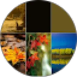 Review From Hendrik Honggara