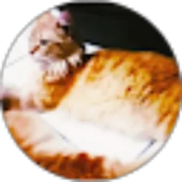 Review From Wendy Sulistyani