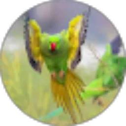 Review From Nurhadi Sumarsi