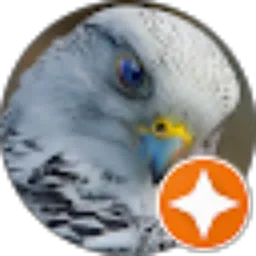 Review From Ahmad SYAHBAINI