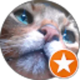 Review From junn kimura