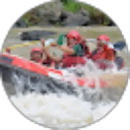 Review From ibnu nugroho