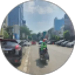 Review From Zhong Wanxue