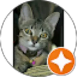 Review From Ayu Utami