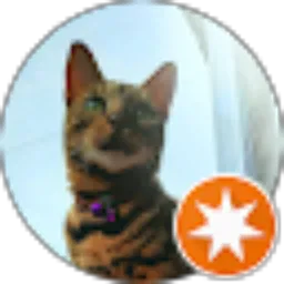 Review From Mega Rini