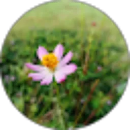 Review From Indah Wardanni