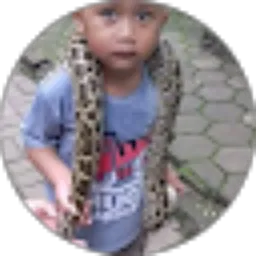 Review From Afrillo azka