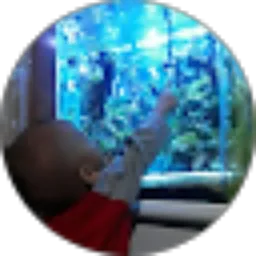 Review From CURHAT MASTAH