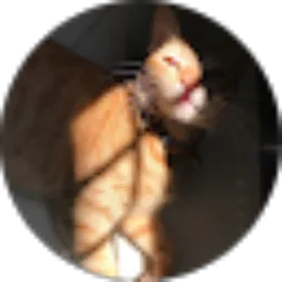 Review From Kucing Preti