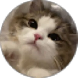 Review From Syarifah Armilda Syahla