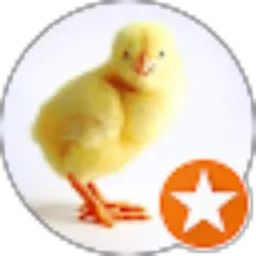 Review From Handoyo 1