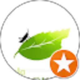 Review From Bolo Jangkrik