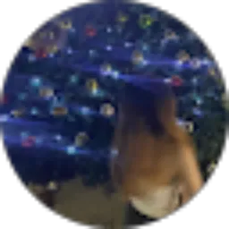 Review From Ana Maria