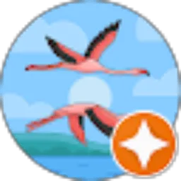 Review From syakira agni