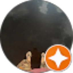 Review From Achmad Januar