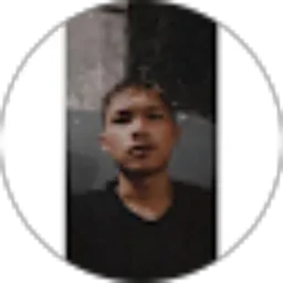 Review From Dzaki Salman Ardiansah