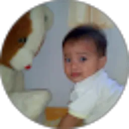 Review From Andi Sudarmono