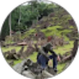 Review From trisno ahmad