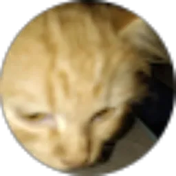 Review From Anik winarti Aska