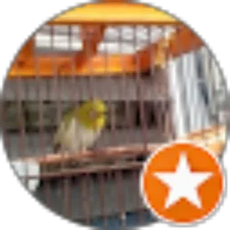 Review From Budi Purnama