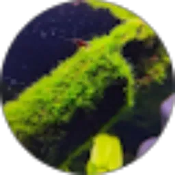 Review From Hansen Junaidi