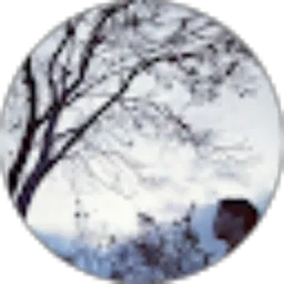 Review From Randi Bernalukita