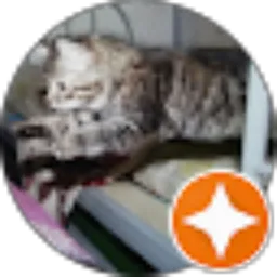 Review From Rafli Febriansyah