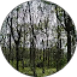 Review From Andre Setiadi