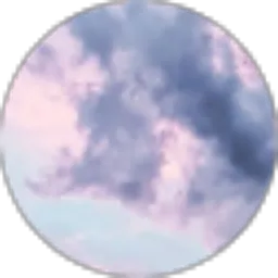 Review From Risqi Dwiyanti