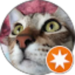 Review From An Nisaa Nofita