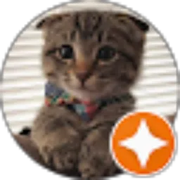 Review From Vivi Lindarti