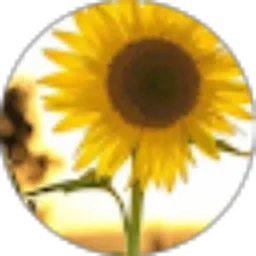 Review From Mifta wulansari