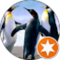 Review From bahruz zaman