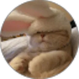 Review From 26. Nur Viviola Meilani