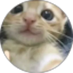 Review From Dinda Qori