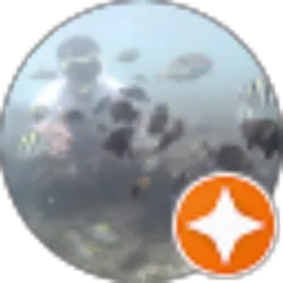 Review From Bambang Irawan