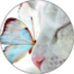 Review From Tamilia Septia