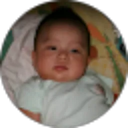 Review From rudy ayub