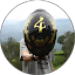 Review From SGD Project