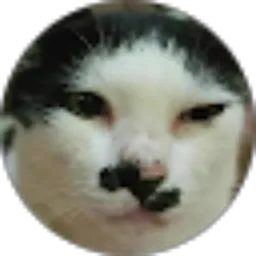 Review From aneke sefiela delian