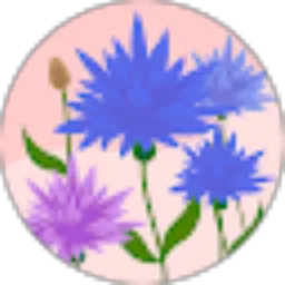 Review From Indra Yanti