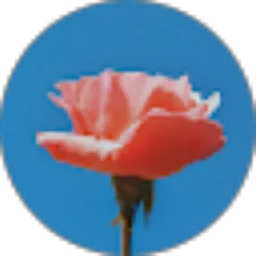 Review From ando hando