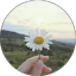 Review From Alesha Rahma Taufieka