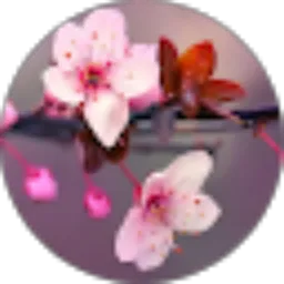 Review From Devina Permatasari