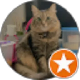 Review From Fadilah Bahar