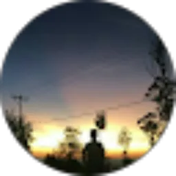 Review From Shinky Djami