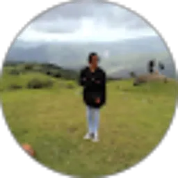 Review From Dian Loemnanu